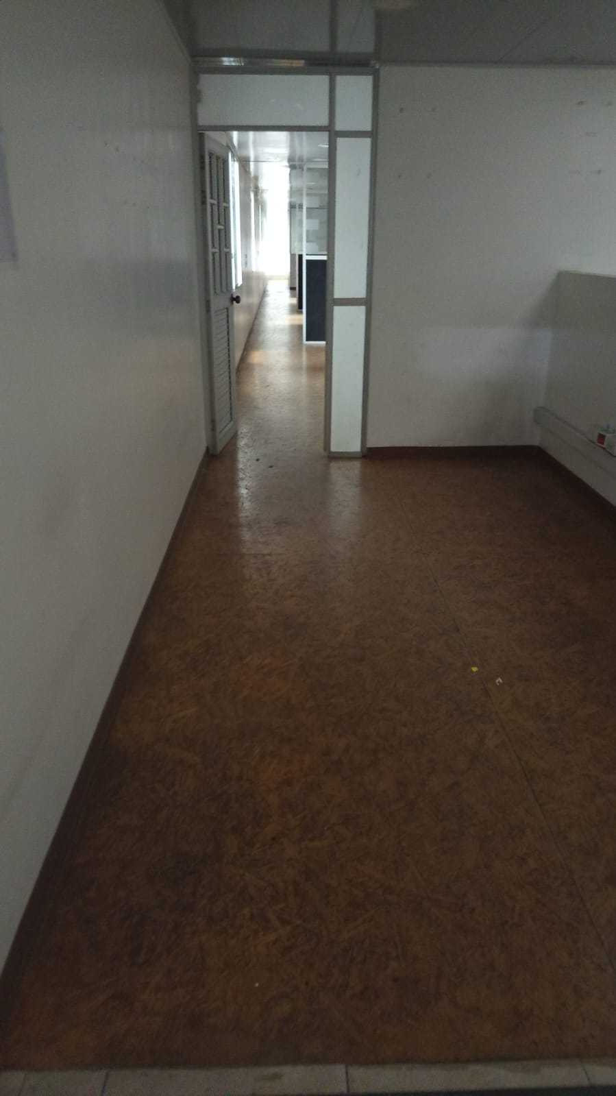 Imagen 11