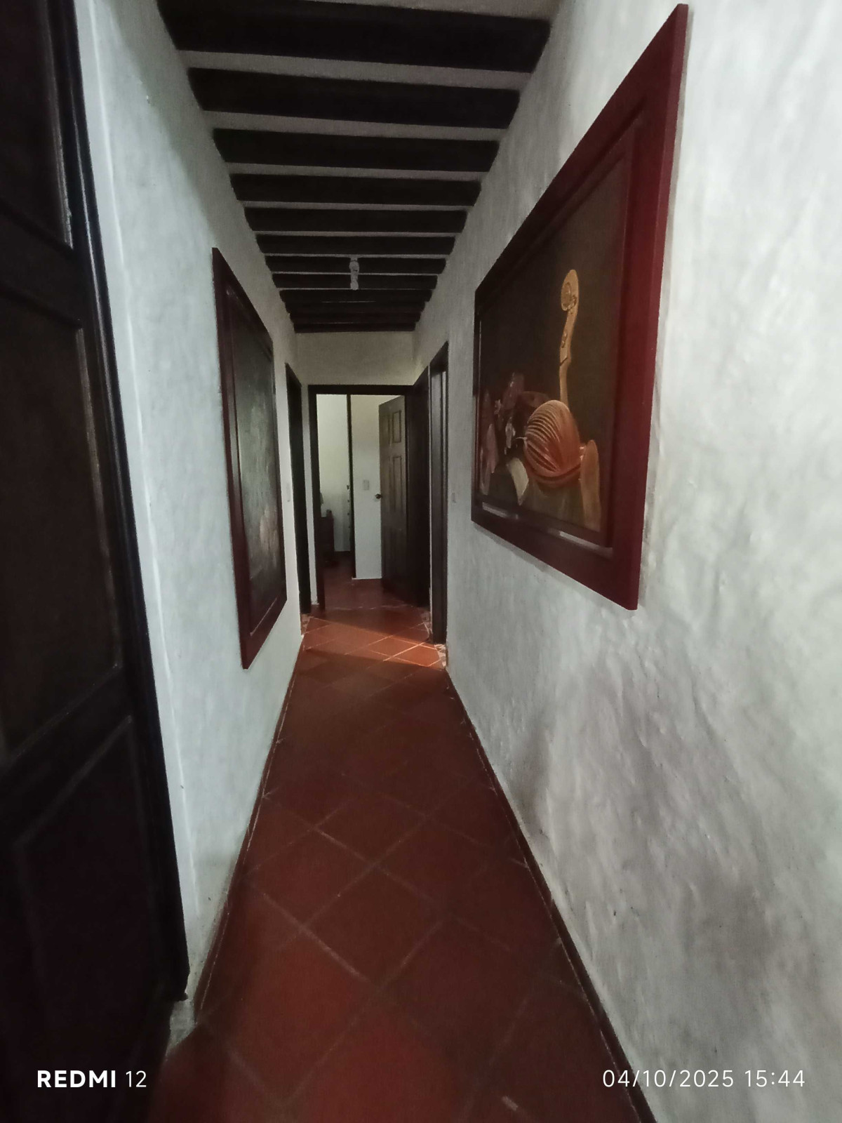 Imagen 13