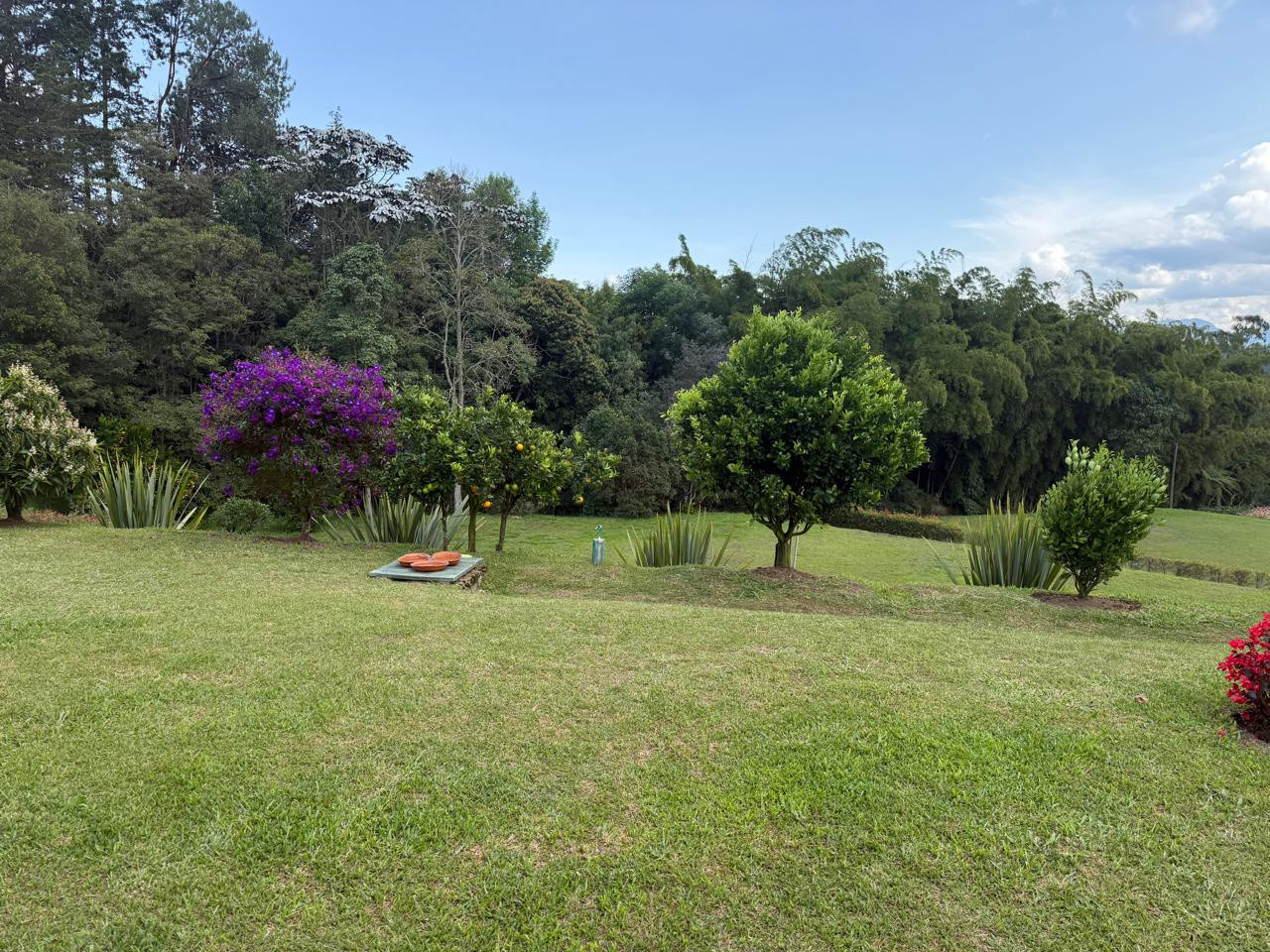 WhatsApp Image 2026-01-26 at 12.00.29 PM (3)