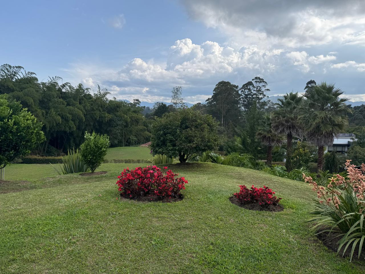 WhatsApp Image 2026-01-26 at 12.00.29 PM (2)