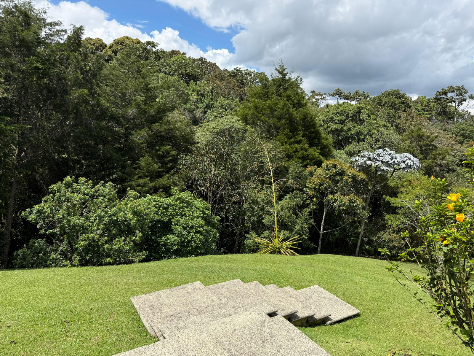 WhatsApp Image 2026-02-04 at 5.26.21 PM