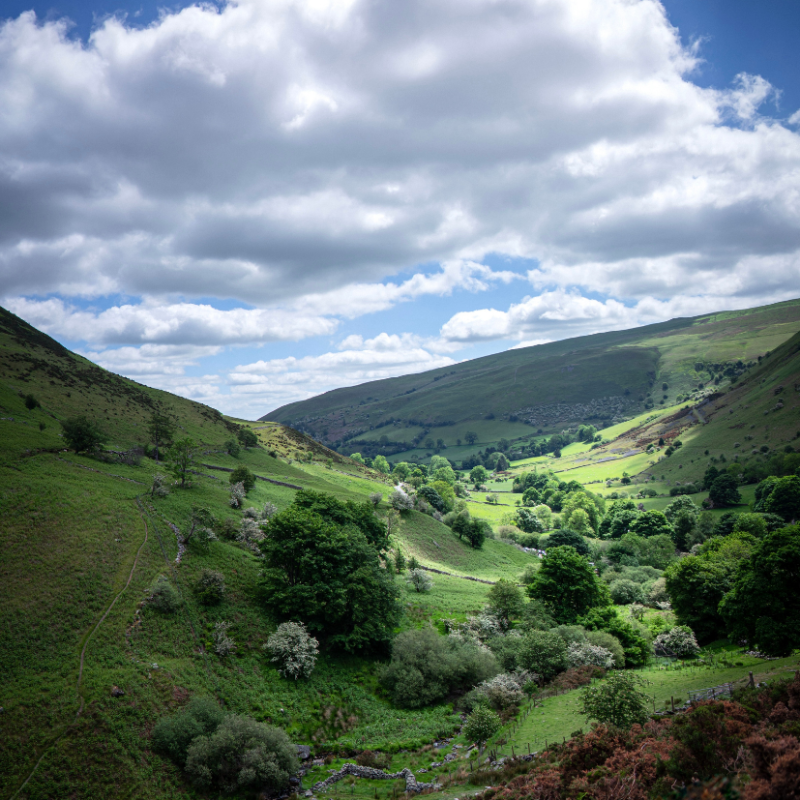 ¿Qué es el uso del suelo y cual es su importancia al comprar, vender o arrendar un inmueble?